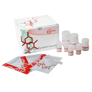CCK-8 细胞增殖及细胞毒性检测试剂盒